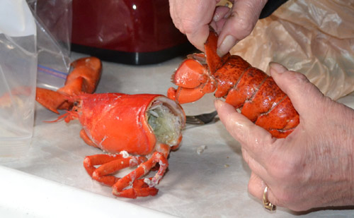 lobster-fins