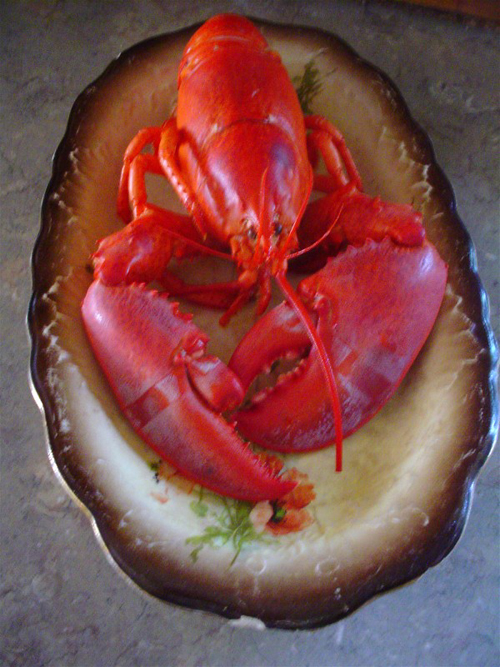 How do I cook a tender lobster